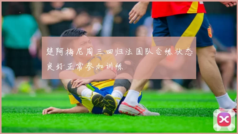楚阿梅尼周三回归法国队合练状态良好正常参加训练
